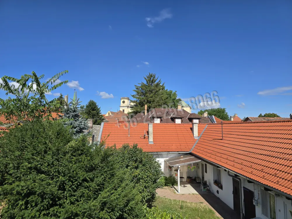 Pest megye - Vác