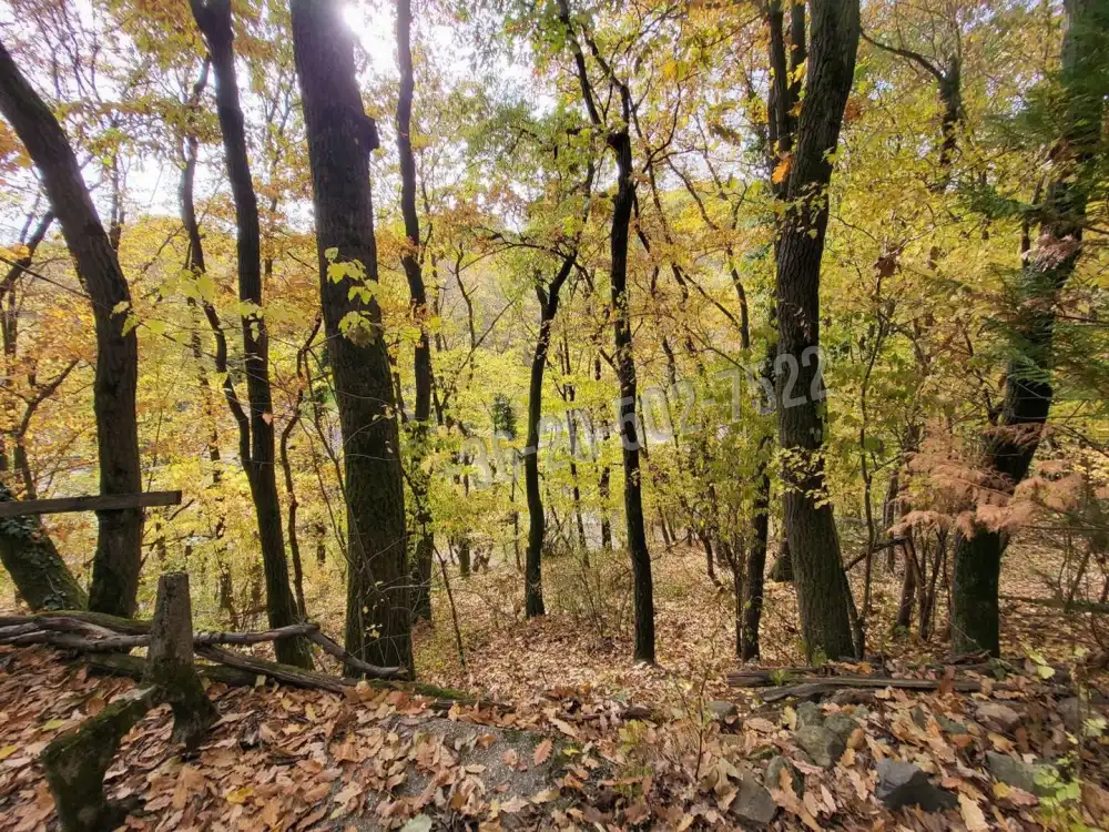 Pest megye - Kismaros