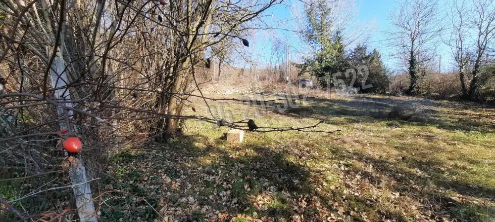 Pest megye - Verőce