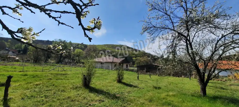 Pest megye - Zebegény