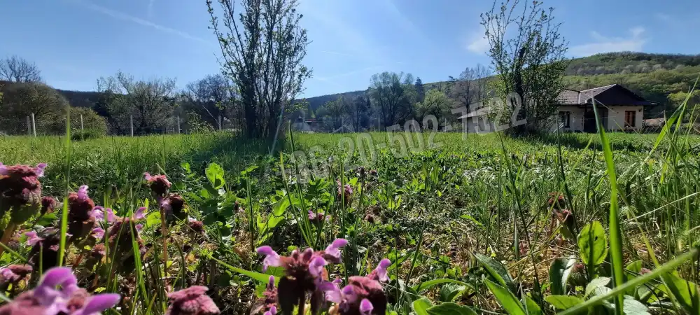 Pest megye - Zebegény