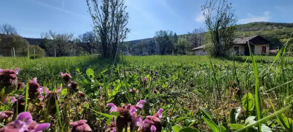 Eladó Építési telek, Zebegény 1140 m² 33.9 M Ft