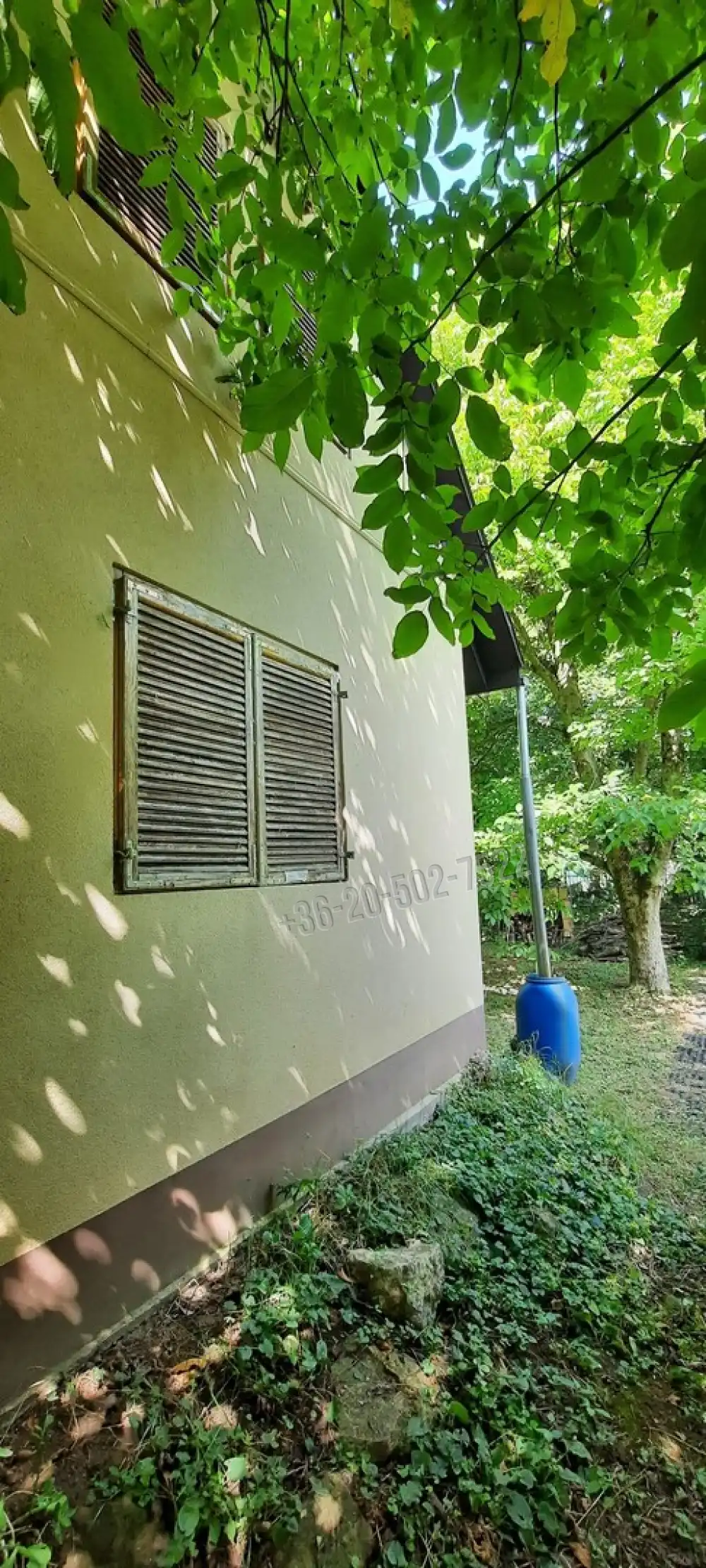 Pest megye - Nagymaros