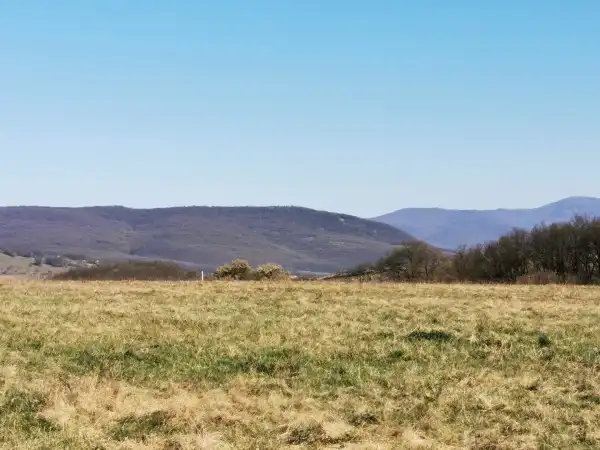 Eladó Szántó, Kismaros 5200 m² 21.9 M Ft