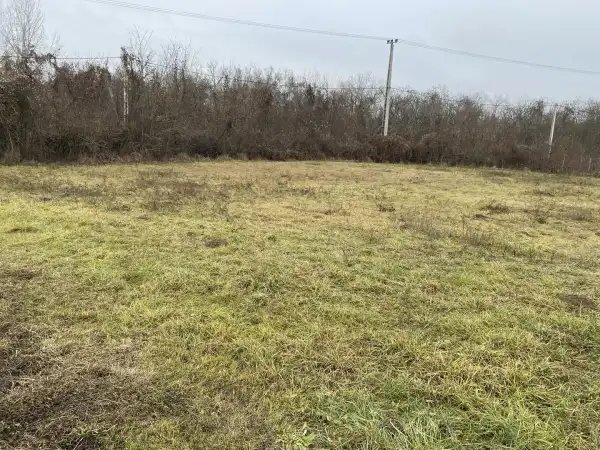 Eladó Szántó, Vác 2519 m² 31 M Ft
