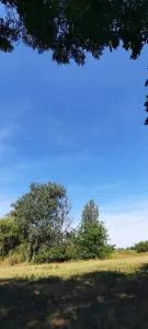 Pest megye - Vácrátót