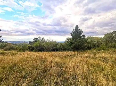 Eladó telek, Vác 10000 m² 75 M Ft