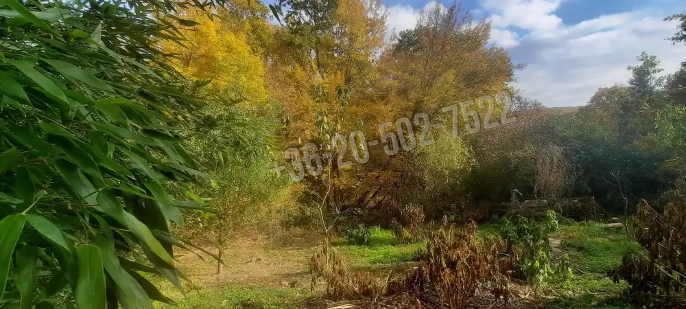 Pest megye - Kismaros