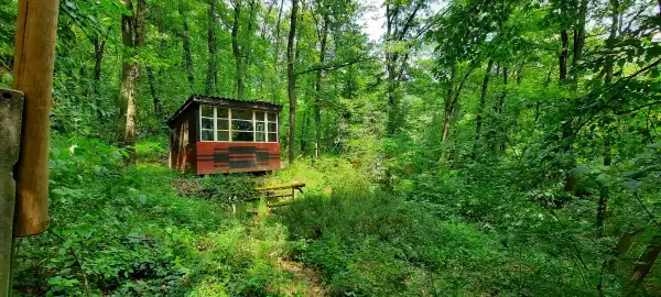 Eladó Építési telek, Kismaros 425 m² 19.9 M Ft