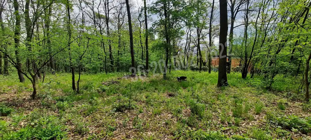 Pest megye - Kismaros