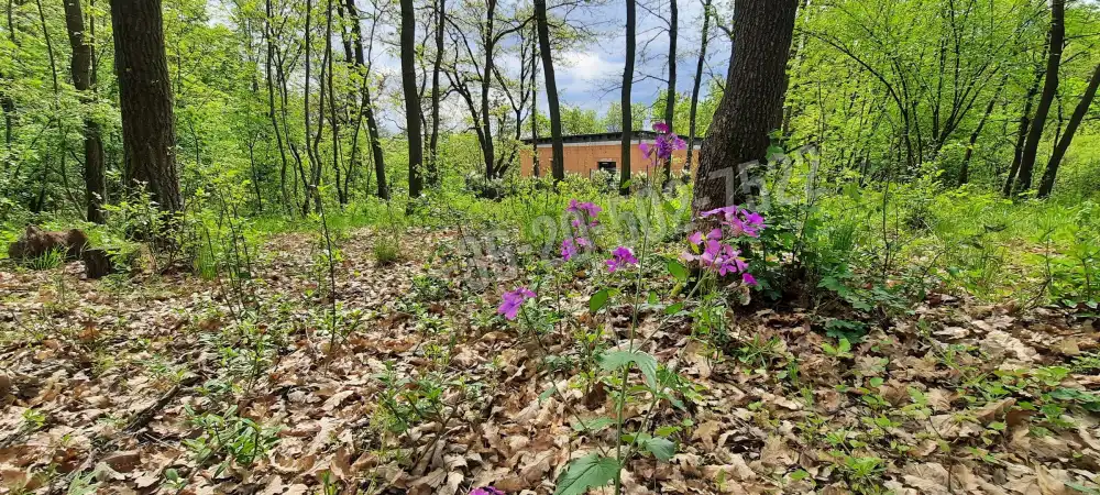 Pest megye - Kismaros