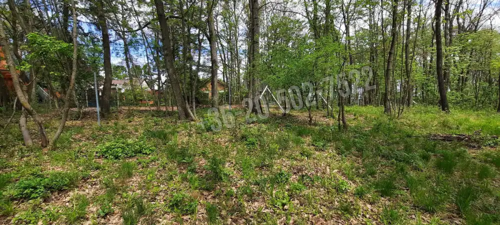 Pest megye - Kismaros