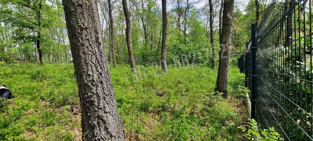 Pest megye - Kismaros