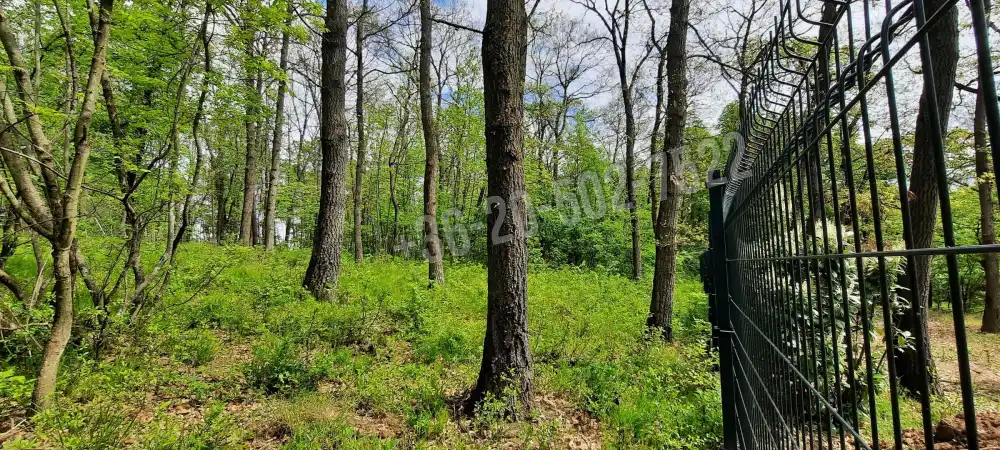 Pest megye - Kismaros