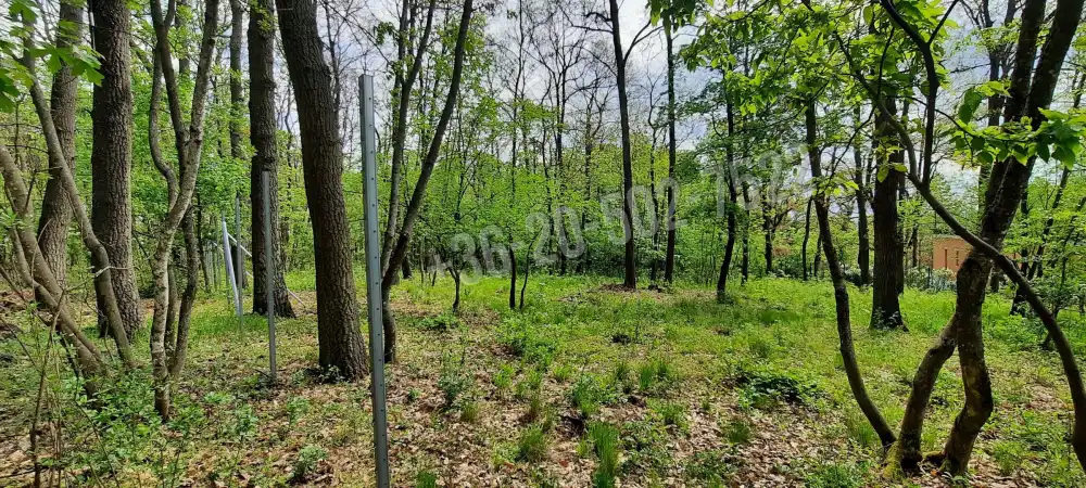 Pest megye - Kismaros