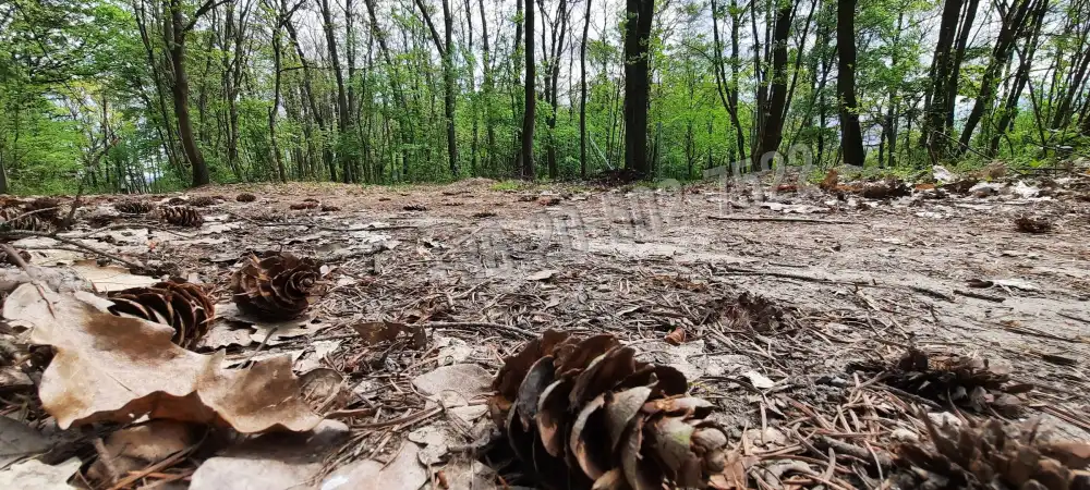 Pest megye - Kismaros