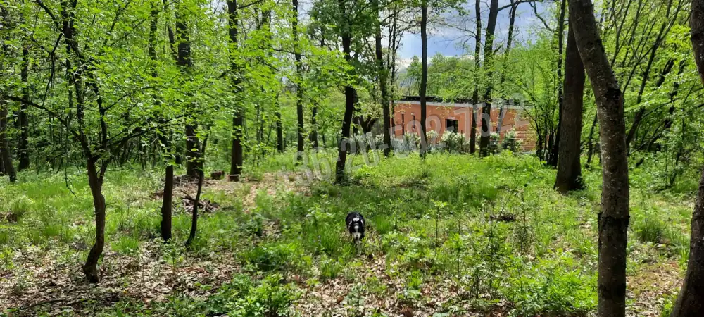 Pest megye - Kismaros