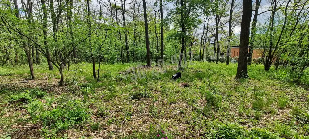 Pest megye - Kismaros