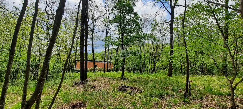 Pest megye - Kismaros