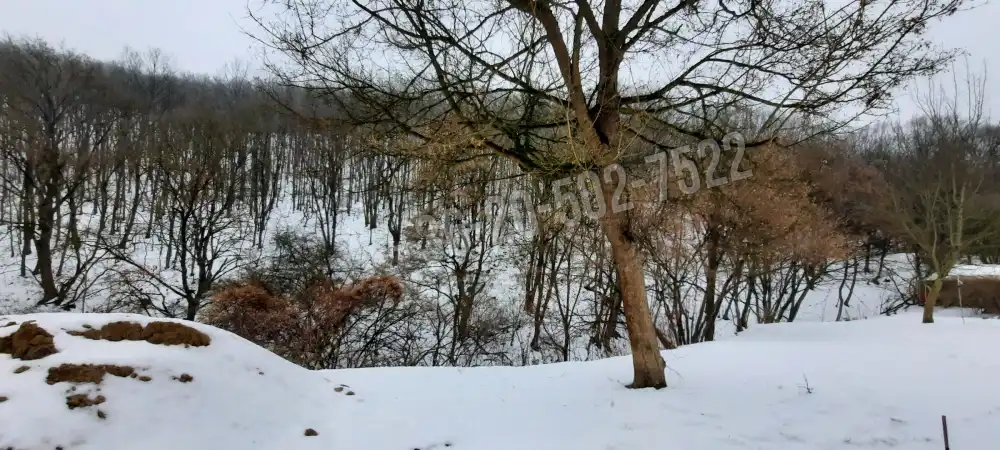 Pest megye - Zebegény