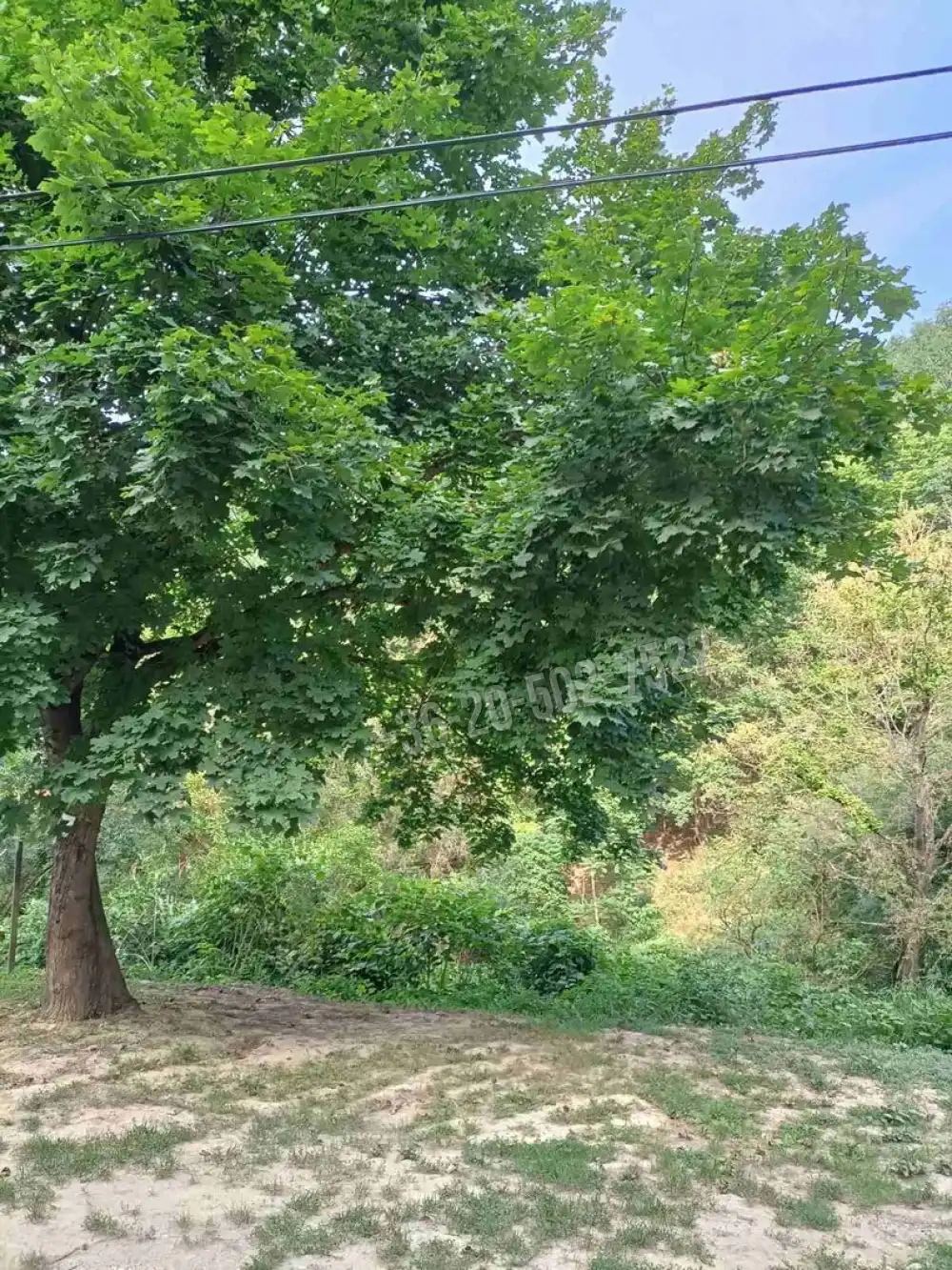 Pest megye - Zebegény