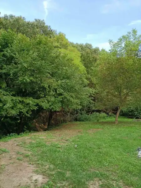 Eladó telek, Zebegény 500 m² 25 M Ft